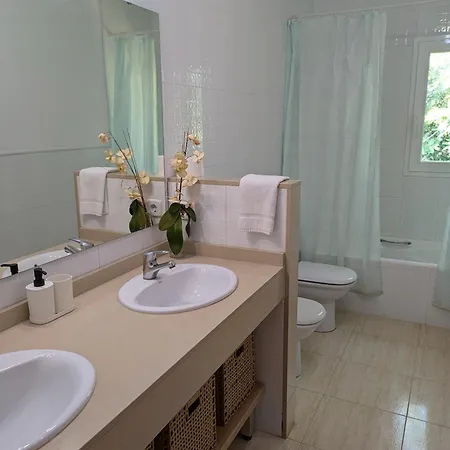 La Vinya Del Beato 1950 *